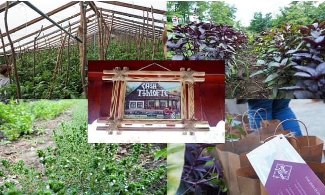 5d761f517288d538583f9a19_0