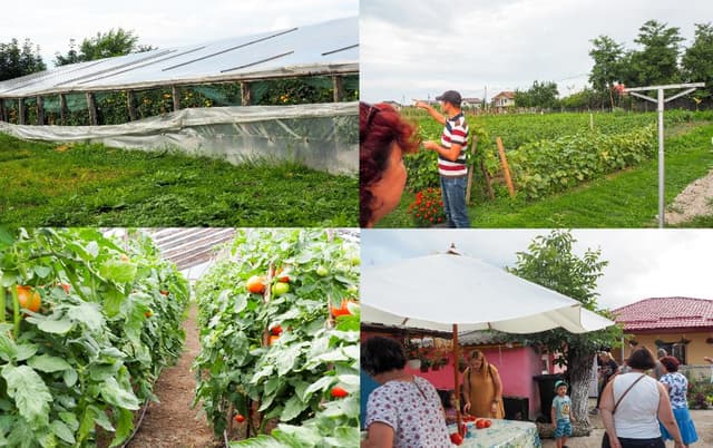 5d761f517288d586933f9a1a_0