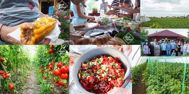 5d761f526f4ae1182b6d81e6_0