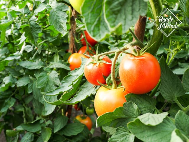 5d7620017a6dfa47fa28bb12_11