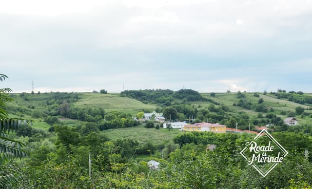 5d7620017a6dfa47fa28bb12_16