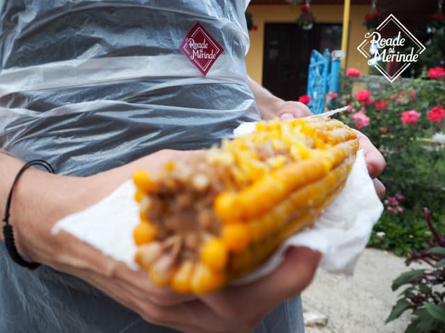 5d7620017a6dfa47fa28bb12_8