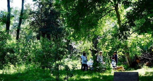 5d76200234bd369d06e94ae5_12