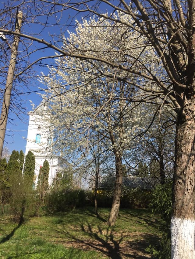 5d7620026f4ae1351f6d83ac_0