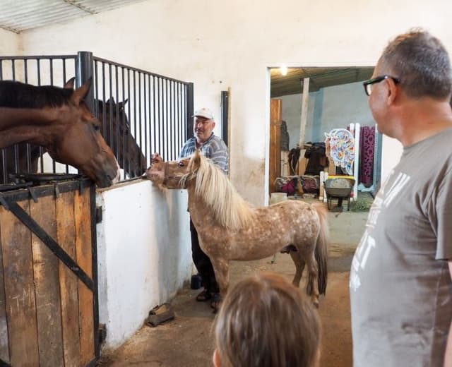 5d7620026f4ae1351f6d83ac_13