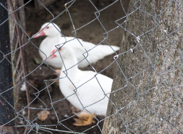 5d7620026f4ae1351f6d83ac_17