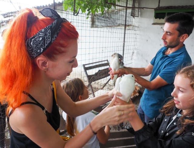 5d7620026f4ae1351f6d83ac_21