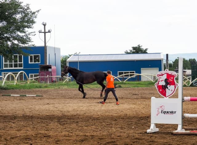 5d7620026f4ae1351f6d83ac_4