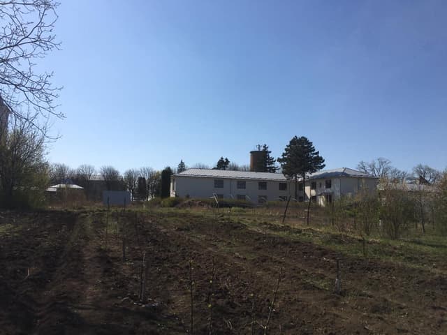 5d7620026f4ae1351f6d83ac_5