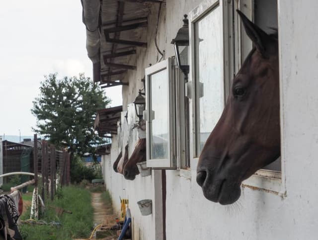 5d7620026f4ae1351f6d83ac_6