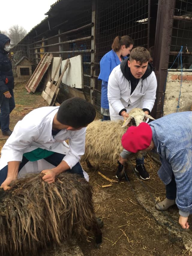 5d7620026f4ae1351f6d83ac_7