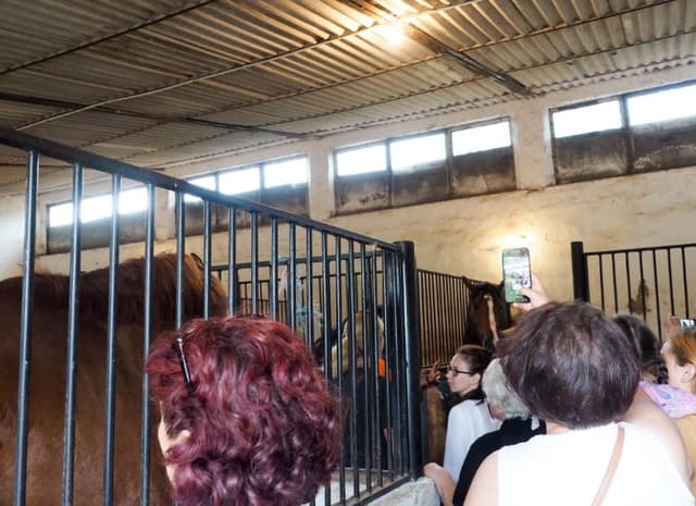 5d7620026f4ae1351f6d83ac_8