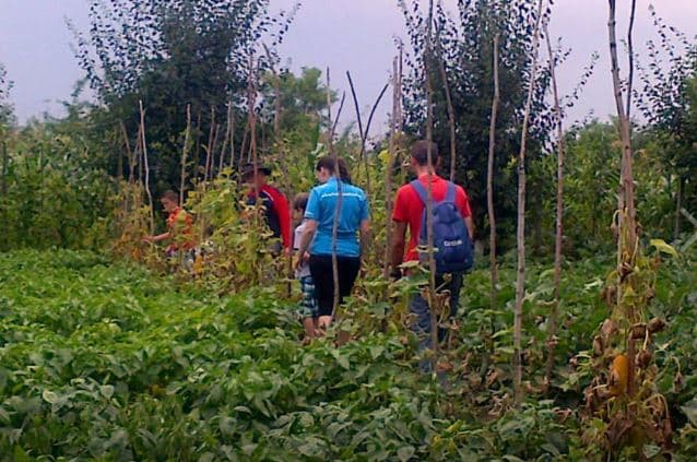 5d762002fc69ff1ef5e295e2_10