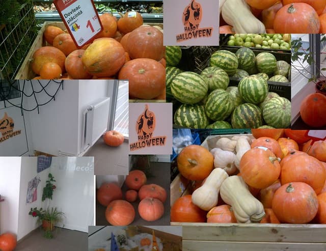 5d762002fc69ff1ef5e295e2_2