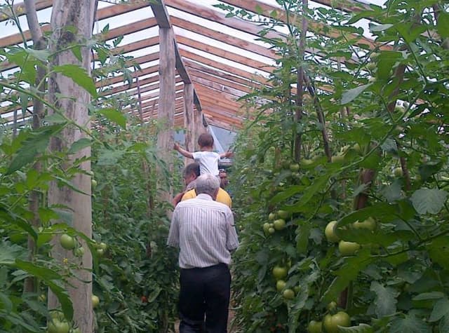 5d762002fc69ff1ef5e295e2_4