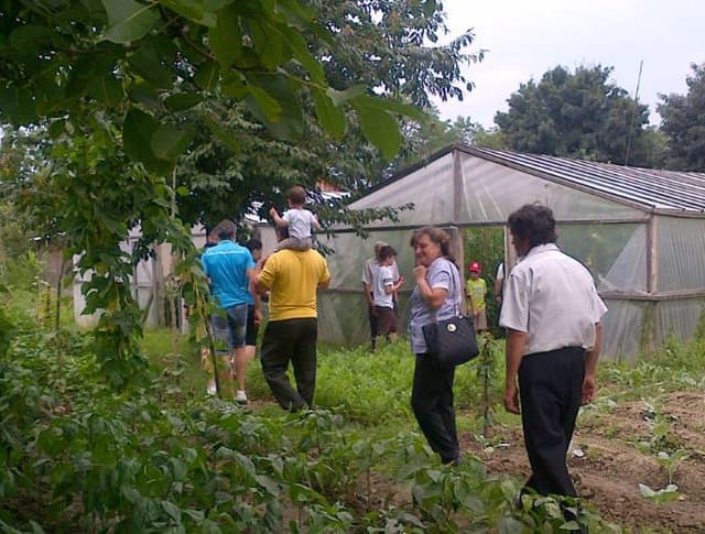 5d762002fc69ff1ef5e295e2_6