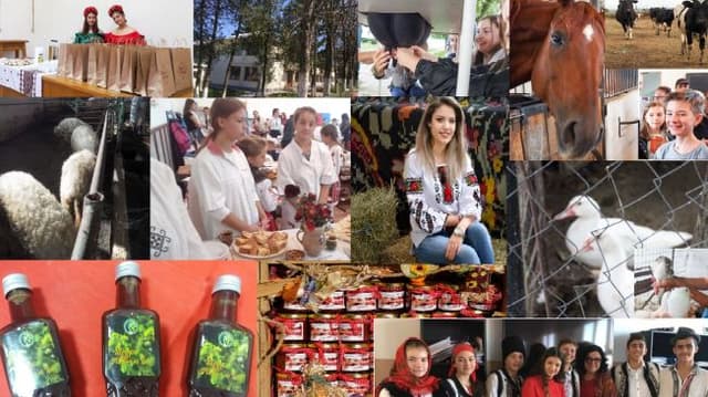 5ee4c268dba462ac3c8f2cd0_0