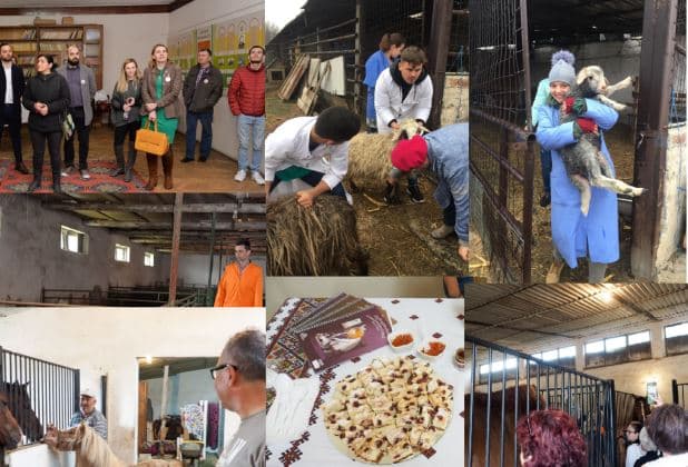 5ee4c2b3360e398912e94262_0