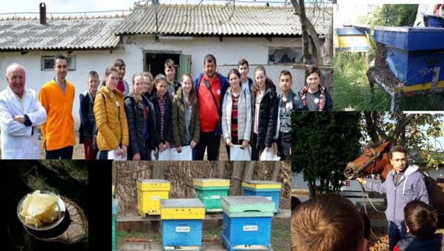 5ee4c7fc318be311f11c842a_0