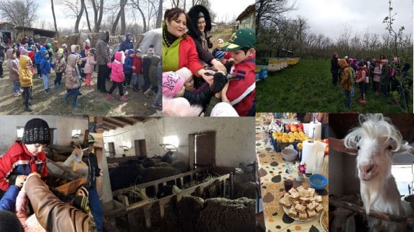 5ee4ca8a88325530fb9bfd35_0