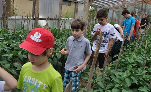 63c03b6442febd1be9819b0f_0