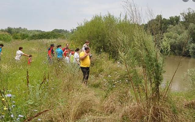 63c03b6442febd1be9819b0f_1