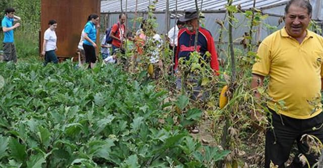 63c03b6442febd1be9819b0f_2