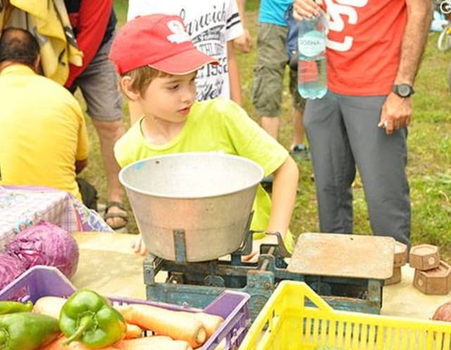 63c03b6442febd1be9819b0f_3