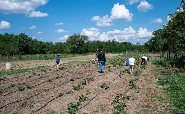 63c03f6a261e1adce006061b_2