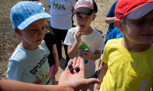 63c03f6a261e1adce006061b_3