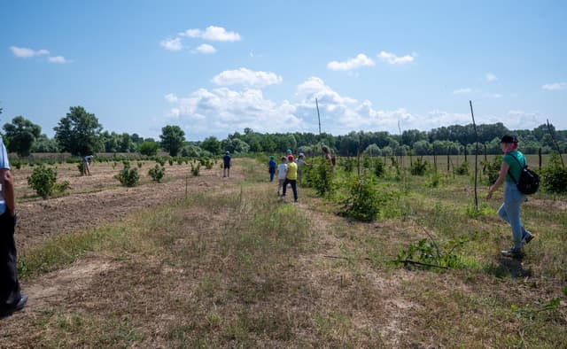 63c03f6a261e1adce006061b_6