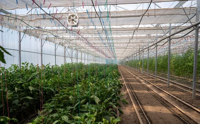 63c04019c6d910d0f72c1e78_3