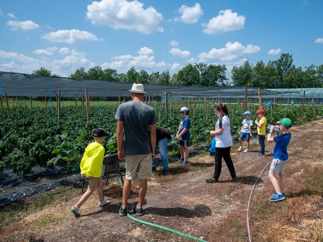 63c04019c6d910d0f72c1e78_6